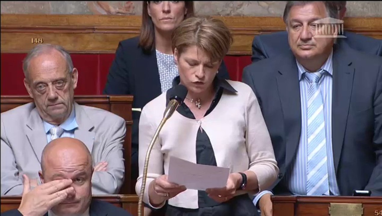 Isabelle Le Callennec - Fonds Européen d'Aide aux plus Démunis