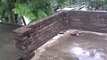 beautiful natural rainy day video enjoying a lot in my friends house_1_mpeg4