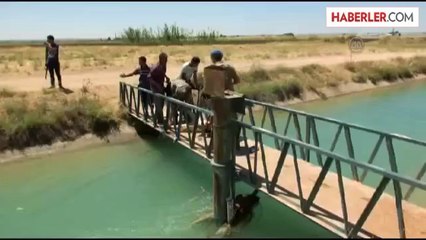 Sulama kanalına düşen Suriyeli çocuk kurtarıldı -