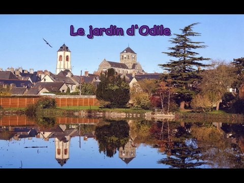 St Aubin du Cormier (35) - Bretagne - Juin 2014