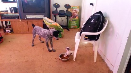 "EKMEĞİNE SAHİP ÇIKMAK" DEDİKLERİ BU OLSA GEREK!