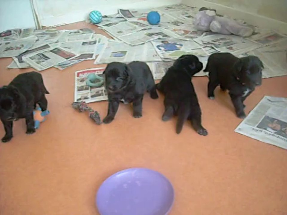 25 juin 2014 (2) : 20 jours - Courage fuyons (bleu)