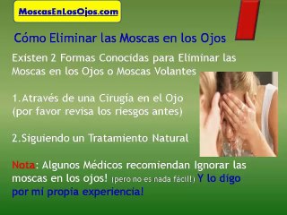 Moscas En Los Ojos Como Eliminarlas : Moscas Volantes o Moscas Flotantes Como Eliminarlas