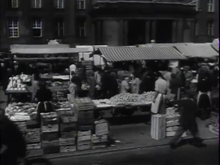 Big Picture  Pictorial Report Number 22