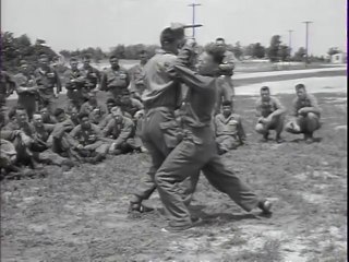 Big Picture  Report from the Provost Marshal General