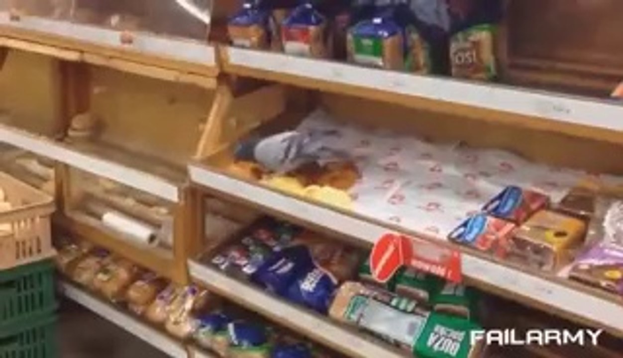 funny collection videos