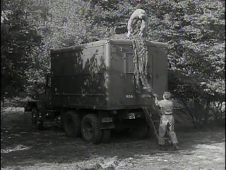 Big Picture  Pictorial Report Number 5