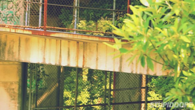 IN MOTION: adidas Originals Introduces the SL Loop Runner | Video