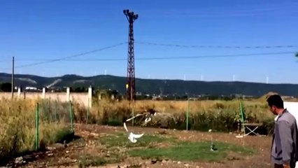 2-yasinda-disi-beyaz