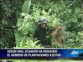 25 toneladas de droga incautadas en 6 meses en Ecuador