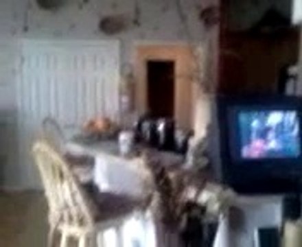 My Haunted House...REAL Paranormal Activity or Not?