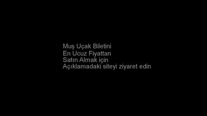 THY Muş Uçak Bileti