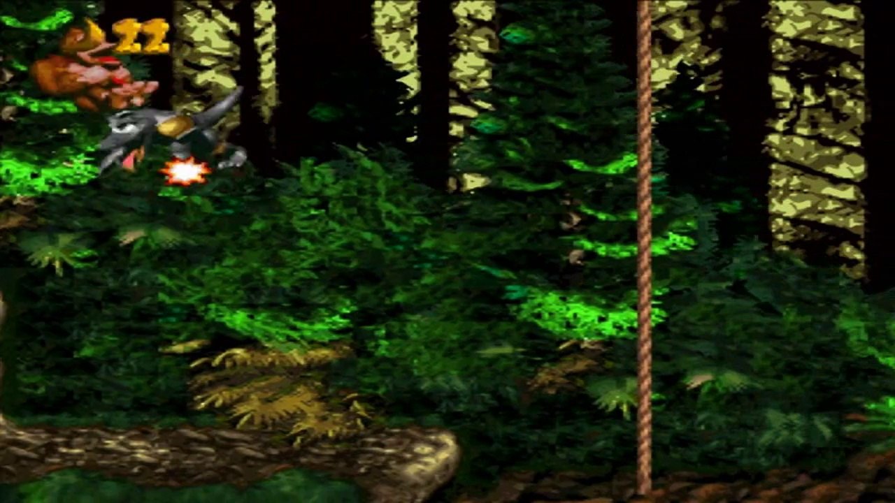 Donkey Kong Country - Vallée des Vignobles : Folie Forestière