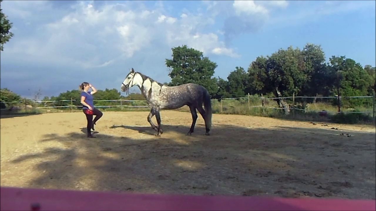 Galatéo show (pour de rire bien sur)