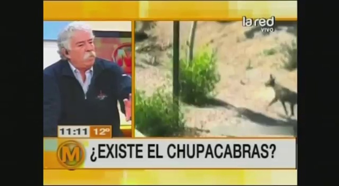 2013-07-09_Salfate - ¿Nuevo Ataque Del “Chupacabras”_1