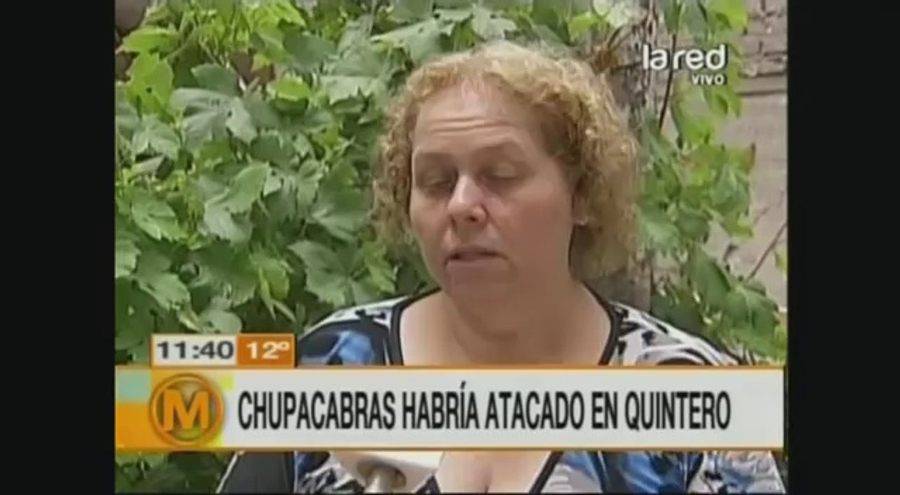 2013-07-09_Salfate - ¿Nuevo Ataque Del “Chupacabras”_2