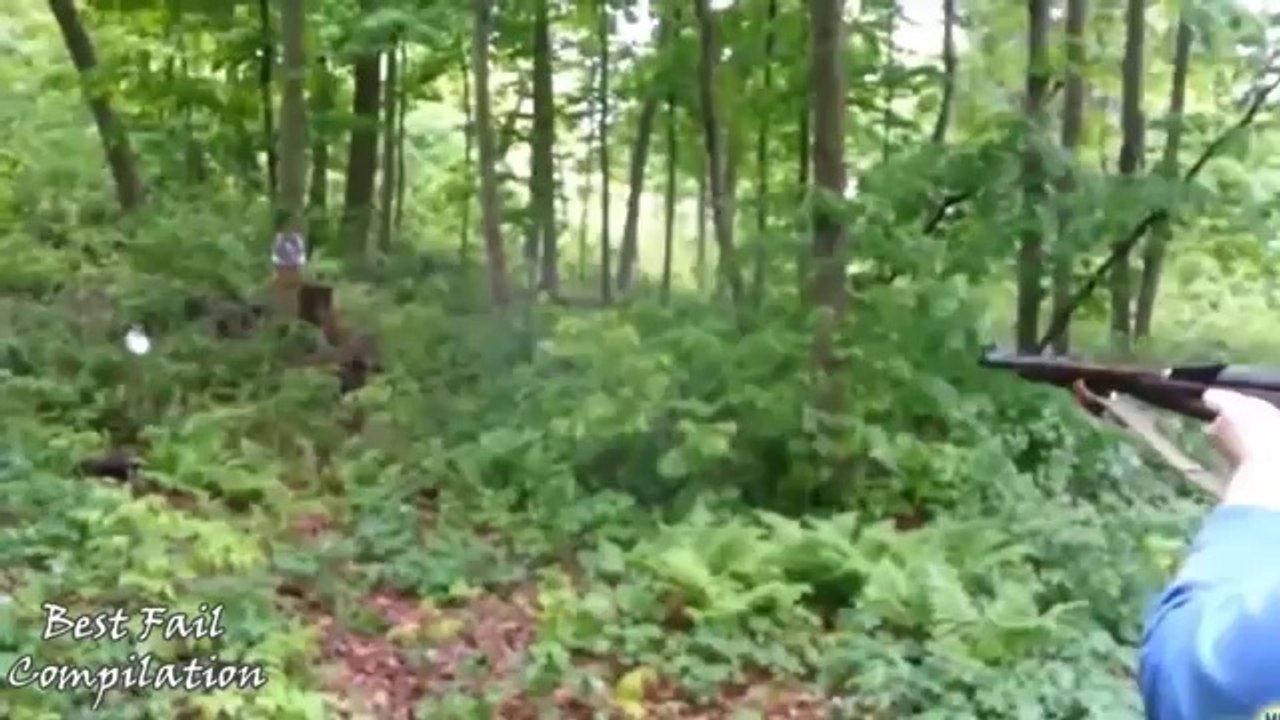 New Funny Dogs Videos - Funny Animals Compilation - Funny Fails Dog Videos