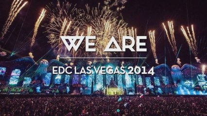 EDC 2014 Highlights 🎉
