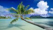 Bally (Baljinder) Chohan Travel Tips - Goa Tour Videos:Calangute Beach Video: Candolim Beach Video