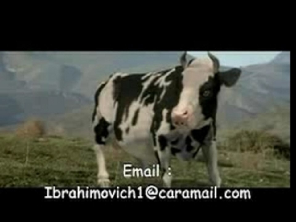 LA VACHE