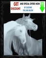 Best Deals SWEET HEART HORSES ~ High-Definition Acid Etched Glass Decor Frame ~ Review
