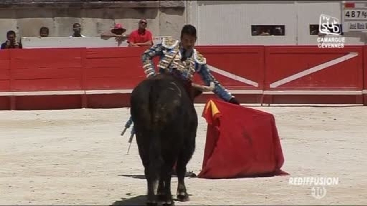 Tendido Sud du Mercredi 25 Juin 2014 (Partie 1)