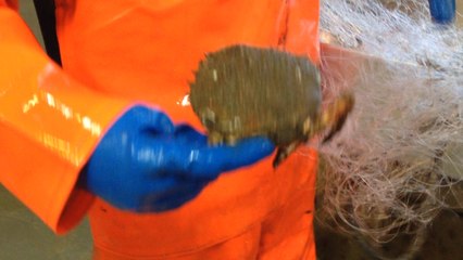 En pêche avec l'Atout II