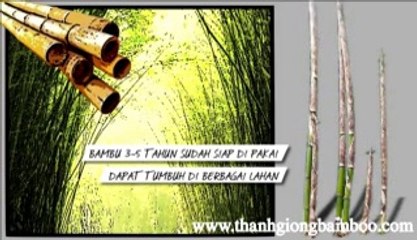 VÁN SÀN TRE - CẦU THANG TRE - kĩ thuật ép tre thủ công