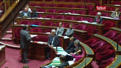 Jean-Pierre Michel, sénateur PS, sur la contrainte pénale