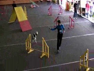 Didier et Artigue 1er concours 23 mars 2014 Aristochiens