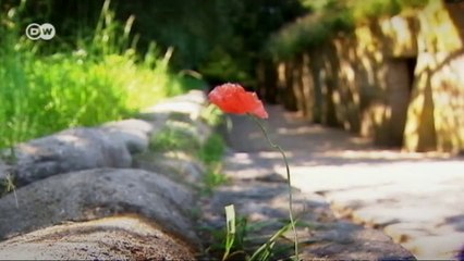 Erster Weltkrieg - erinnern in Ypern | Journal