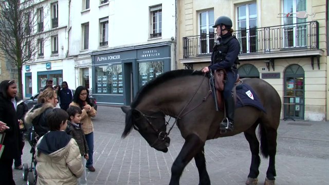 Démonstration des brigades équestres au salon du cheval.