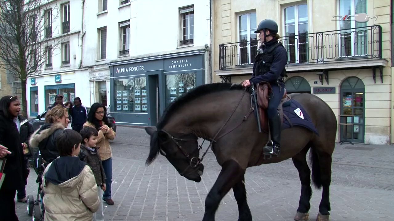 Démonstration des brigades équestres au salon du cheval.