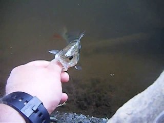 1 2 3 mais ou qu'elle est la perchette