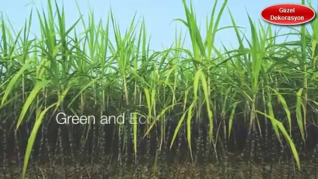 3D Duvar Panelleri | Guzeldekorasyon.com