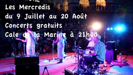Animations Concerts de l'été 2014