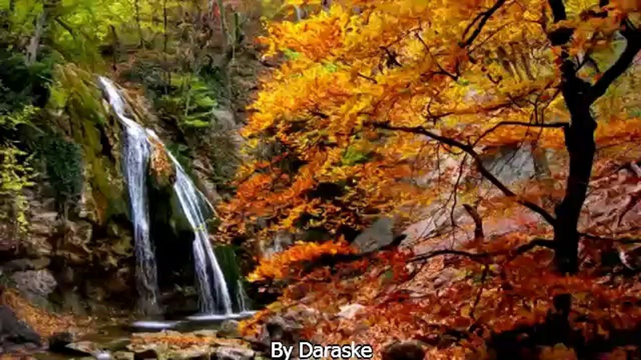 Tüm Dünya Çocuklarının Şarkısı By Daraske