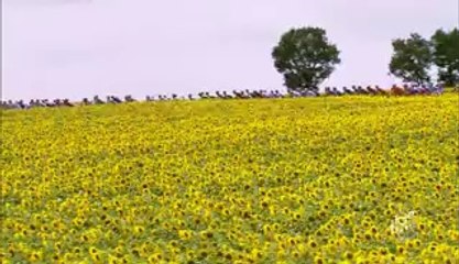 FR - sur la route - Étape 3 (Ajaccio > Calvi)