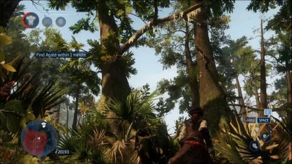 Assasin creed 3 Liberation parte 18