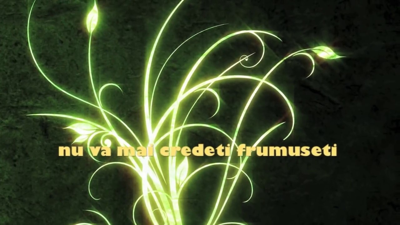 Free Deejays - Din toate UNA ( Official Video Lyrics )