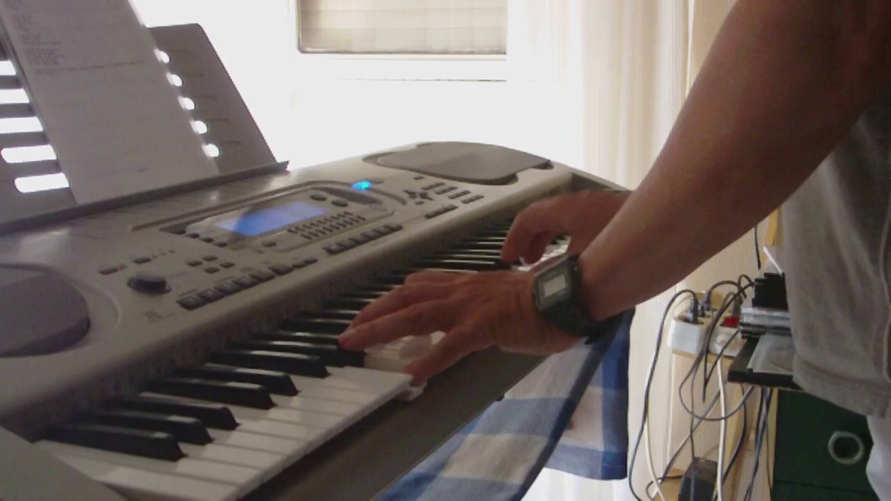 Don Alfonso (Mike Oldfield) on Casio WK-3200