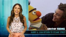 One Direction on Sesame Street - Harry & Liam ABC's!
