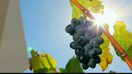 Zapping Canais Digitais (RJ) 26-06-2014