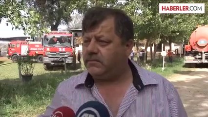 Damızlık at çiftliğinde yangın -