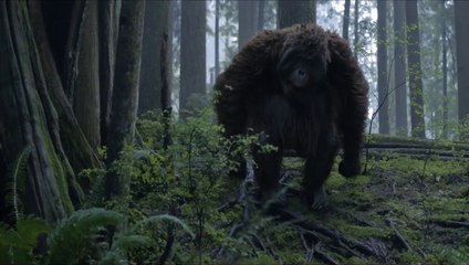 Dawn of the Planet of the Apes - Clip: Hanging Out