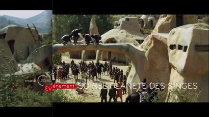 LA PLANETE DES SINGES