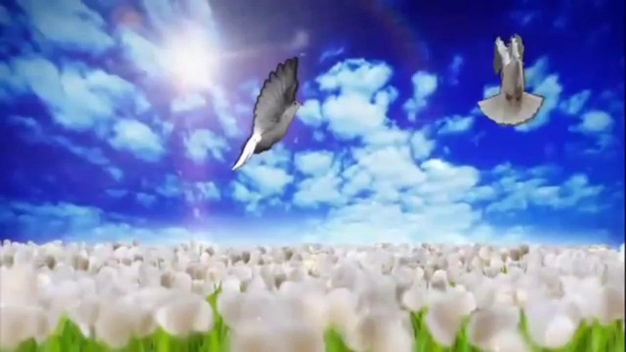Е.Ваенга А.МалининДве души