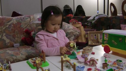 Girl And Sylvanian Families