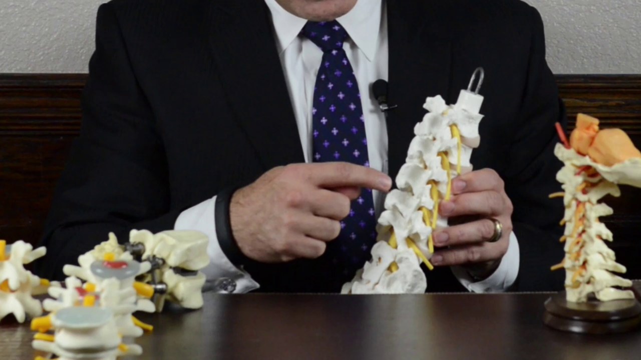 Lumbar Spine & Low Back Part 2