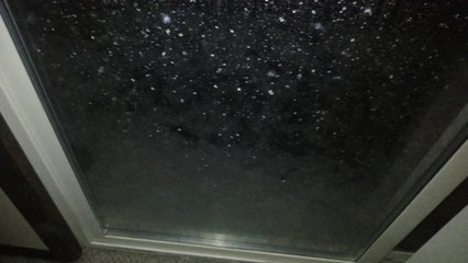 what the hail is going on here!